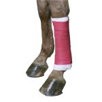 Gamba di cavallo fasciata con elastico rosa intenso sopra una protezione bianca; zoccoli marroni visibili.