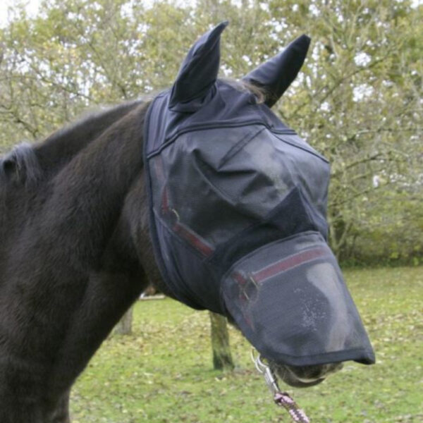 Cavallo di profilo al pascolo, con maschera nera in rete su orecchie, occhi e muso.