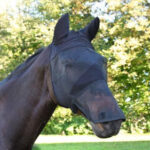 Cavallo baio di profilo con maschera nera a rete che copre occhi, muso e orecchie, su prato.