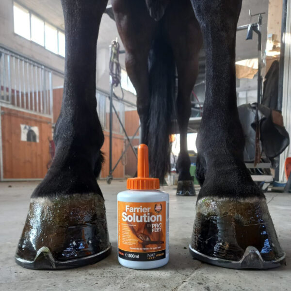 Flacone Farrier Solution BY PRO FEET da 500 ml con beccuccio arancione tra gli zoccoli di un cavallo.