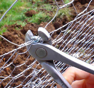 Pinza su rete esagonale Mano che usa una pinza tronchese su una rete metallica a maglia esagonale, con terra e erba sullo sfondo