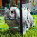 Recinzioni elettriche per ovini, pollame, conigli