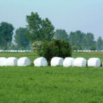 Stretch film per insilaggio in balle