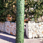 Siepe ornamentale foglie lauro