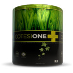 Spago COTESI ONE PLUS