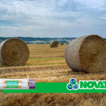 Campo mietuto con rotoballe in rete bianca a bordo viola, rotolo Rekord 2500 in basso e fascia verde NOVATEX.