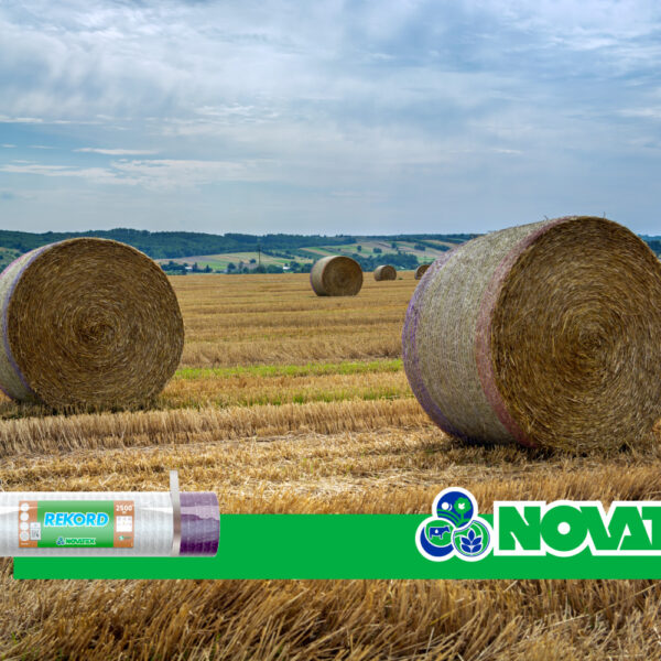 Campo mietuto con rotoballe in rete bianca a bordo viola, rotolo Rekord 2500 in basso e fascia verde NOVATEX.