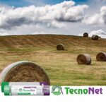 Rotoballe in un campo collinare e, in primo piano, balla avvolta da rete bianca con bande verde e viola, più rotoli TecnoNet 2800 m.