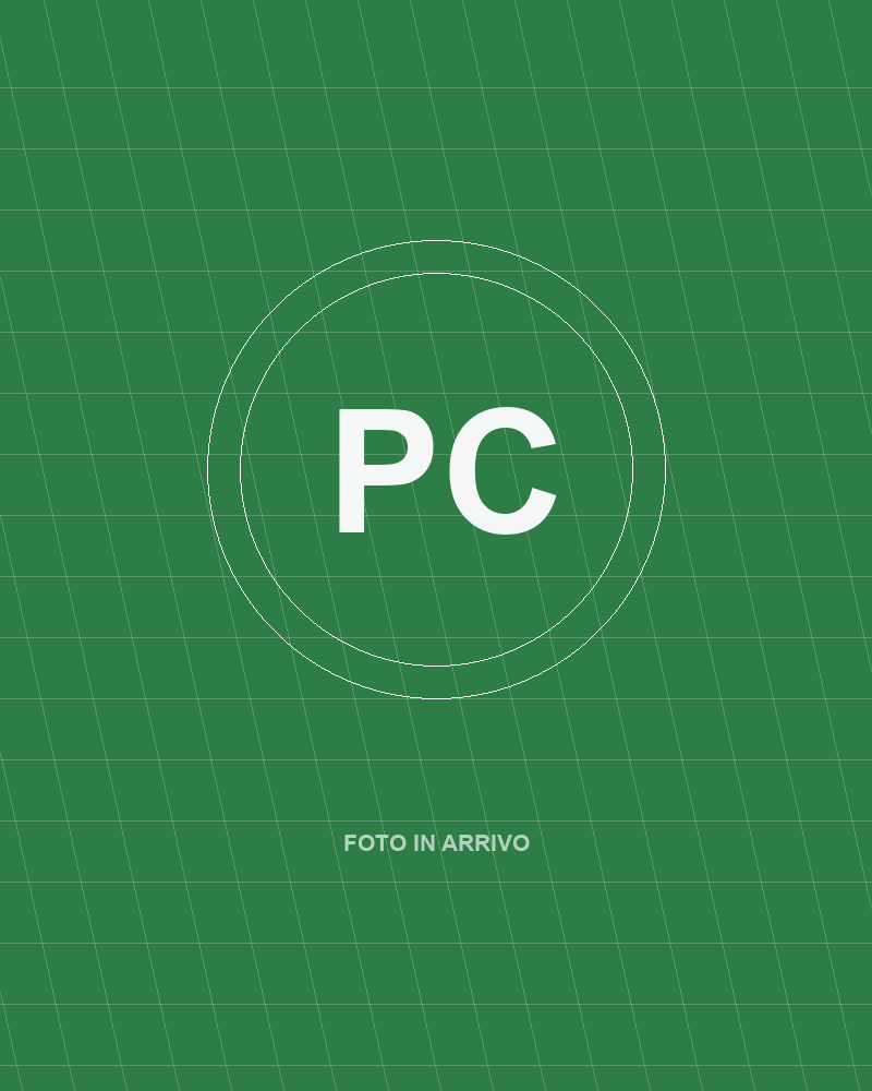 Placeholder foto Paolo Segnaposto su fondo verde medio a griglia, iniziali PC in cerchi bianchi e la scritta FOTO IN ARRIVO